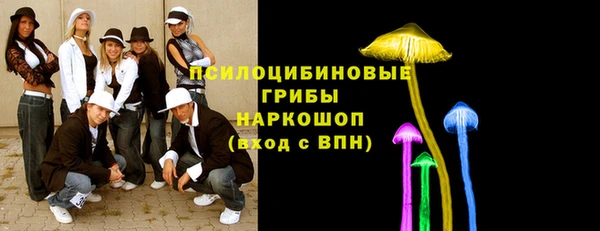 ПСИЛОЦИБИНОВЫЕ ГРИБЫ Михайловка